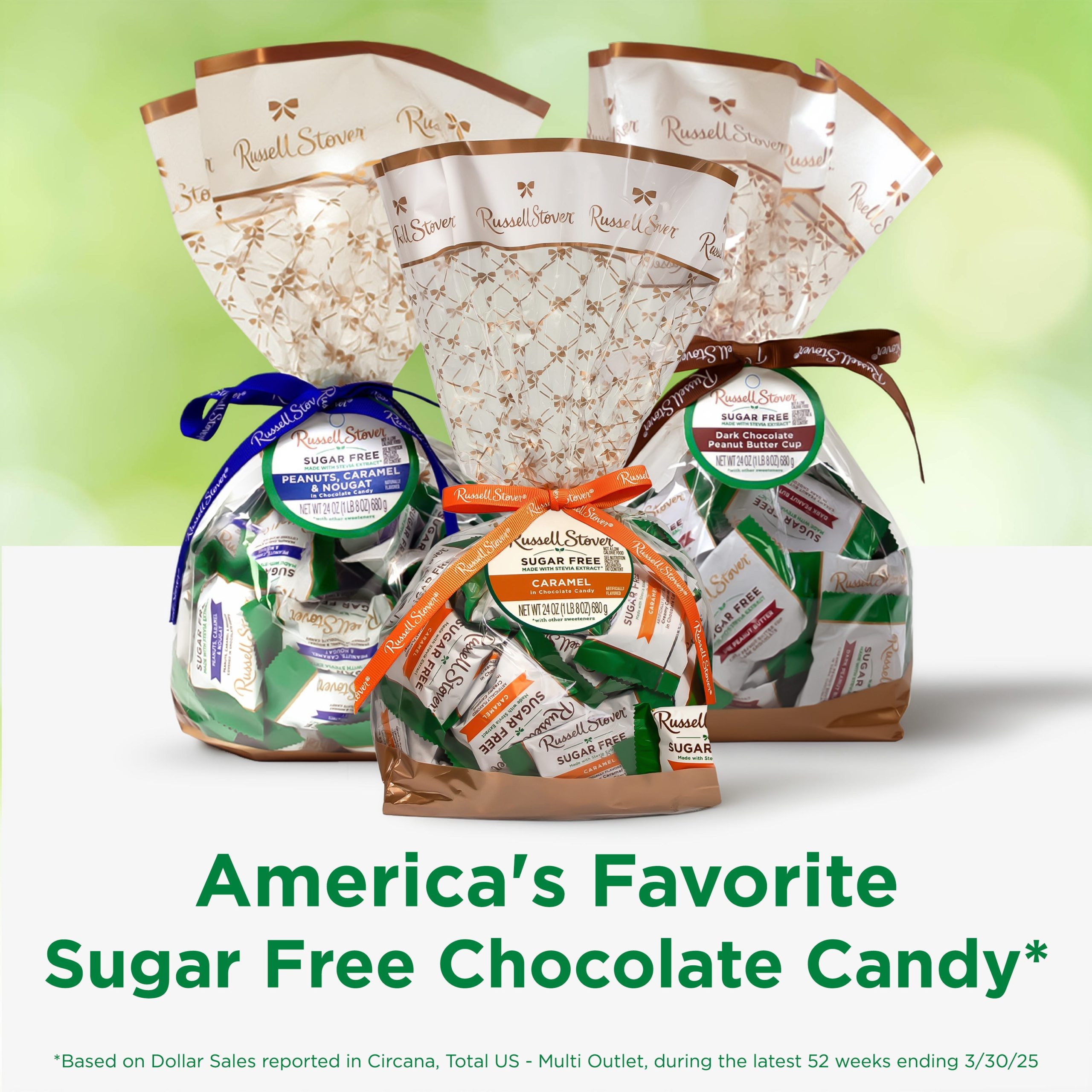 Sugar Free Solid Dark Chocolate Candy Gift Bag, 24 Oz. - Image 21