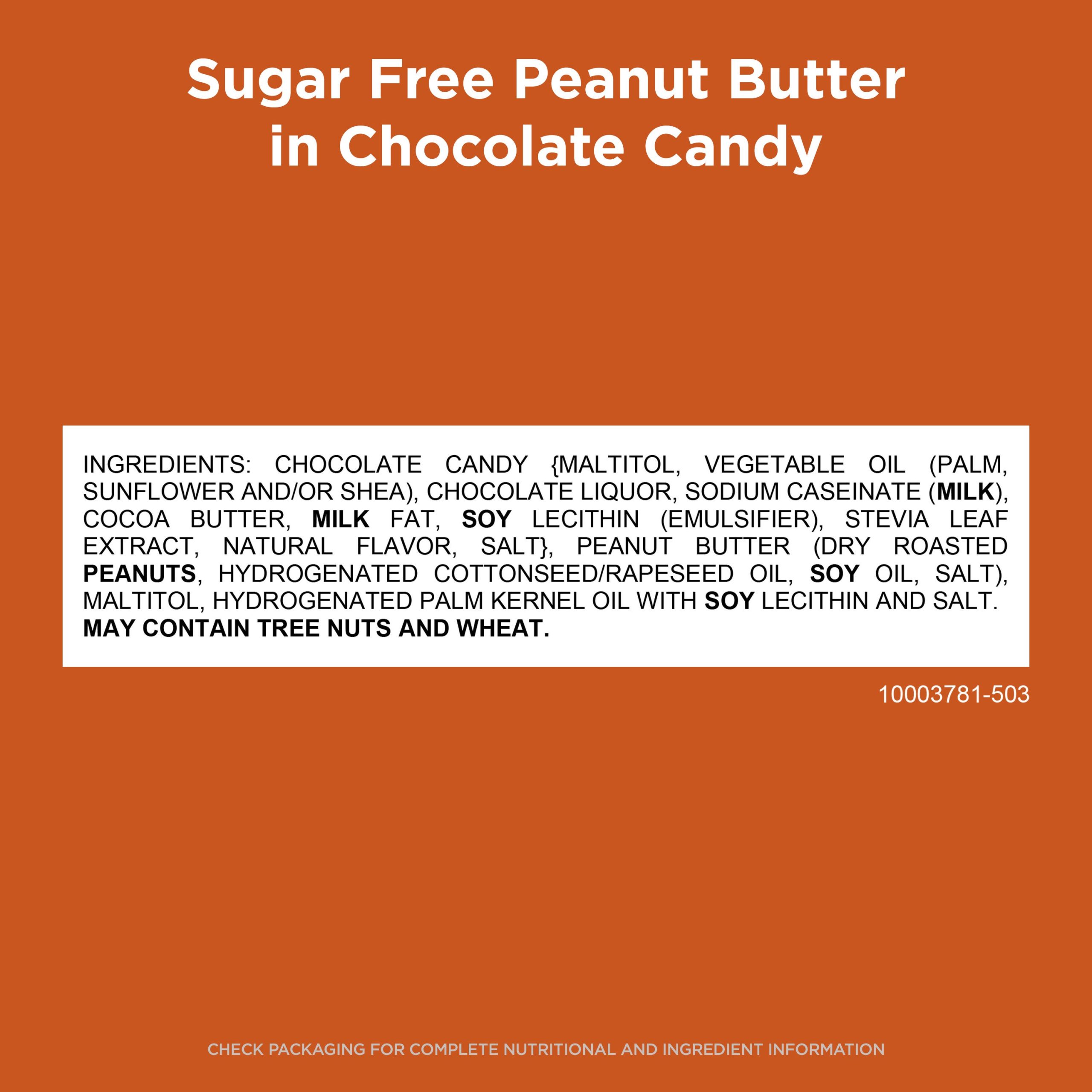 Sugar Free Pecan Delight Chocolate Candy, 4.7 Oz. Bag - Image 33