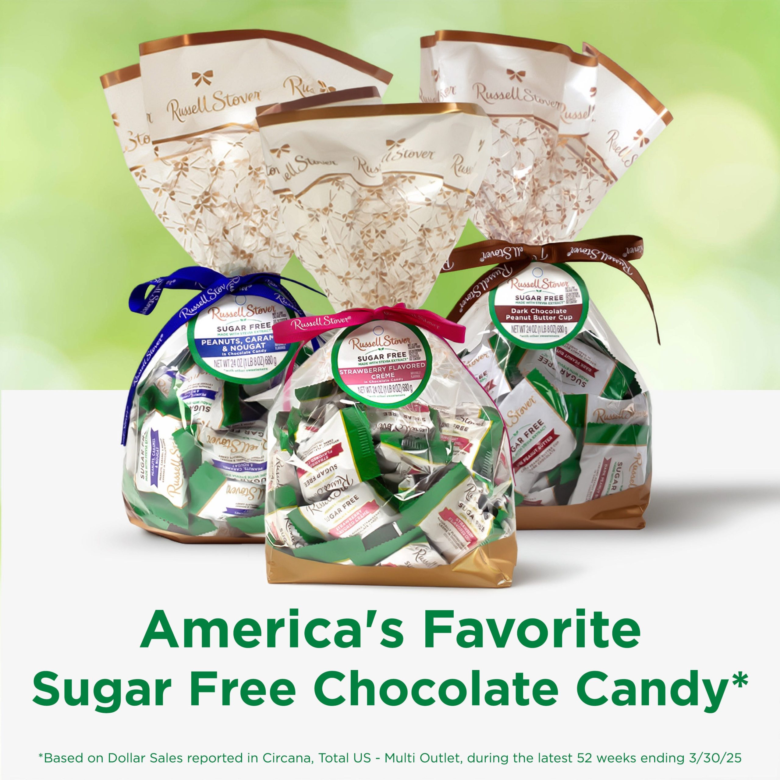Sugar Free Solid Dark Chocolate Candy Gift Bag, 24 Oz. - Image 13