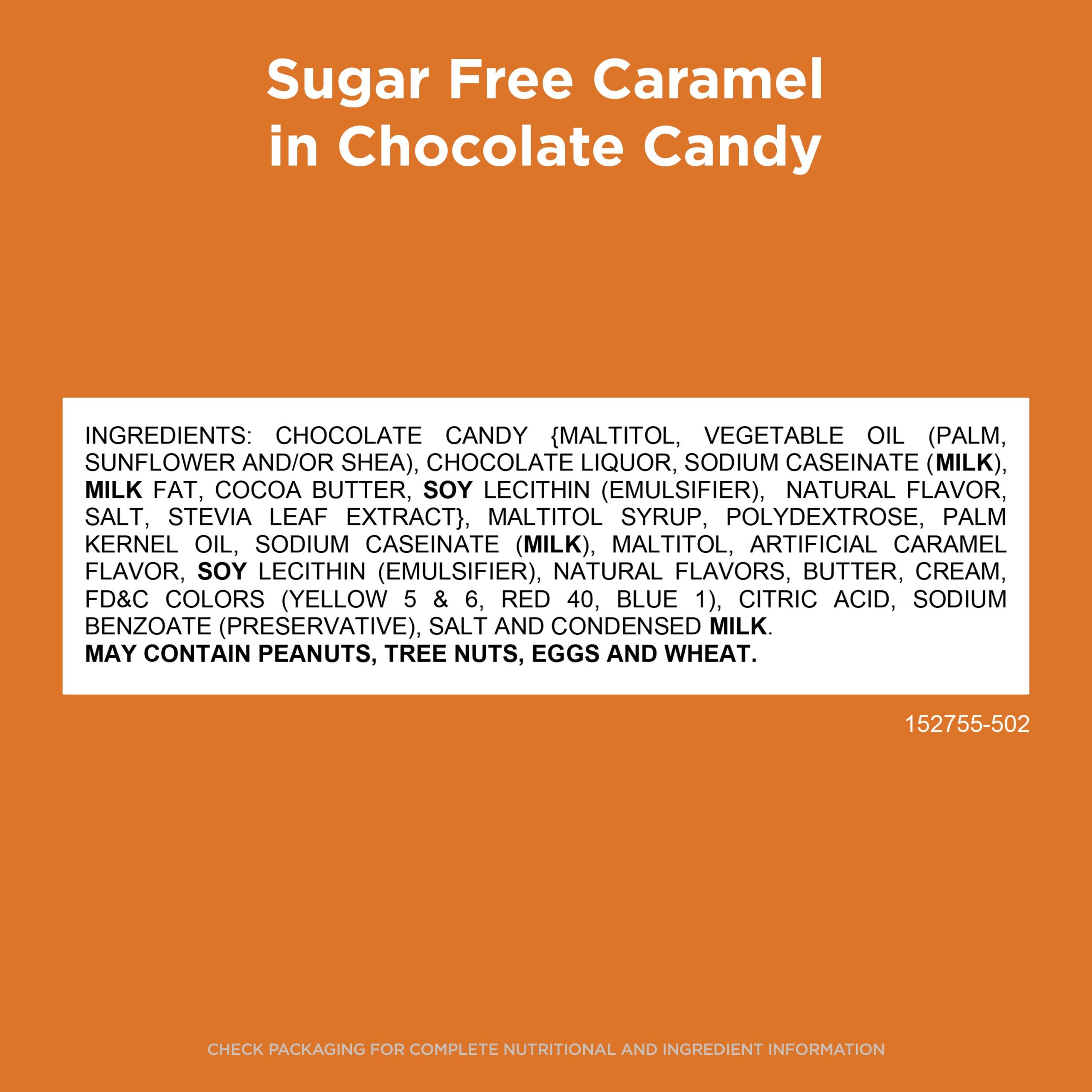 Sugar Free Solid Dark Chocolate Candy Gift Bag, 24 Oz. - Image 22