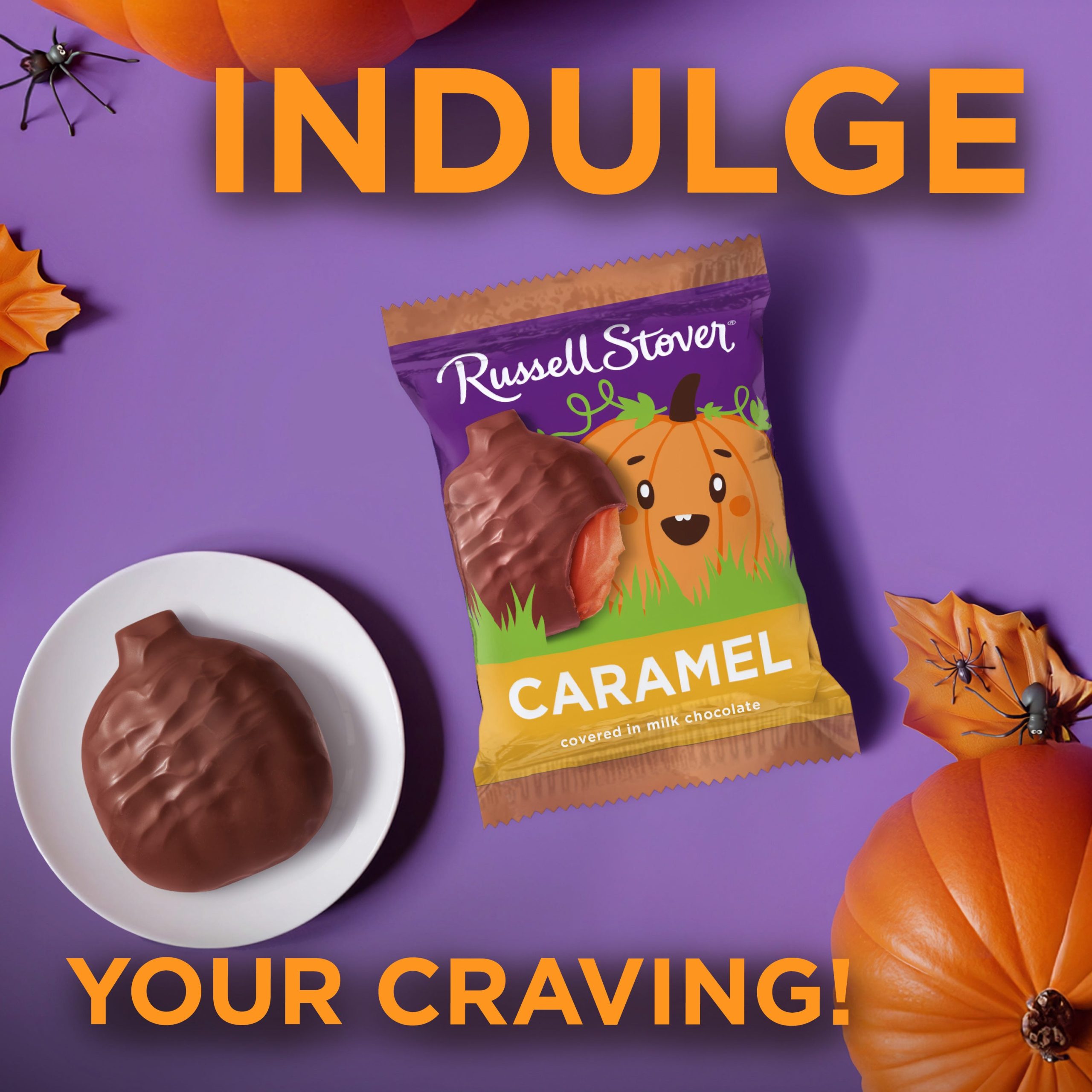 Halloween Milk Chocolate Marshmallow Candy Bar Pumpkin 6 Pack, 7.8 Oz. - Image 11