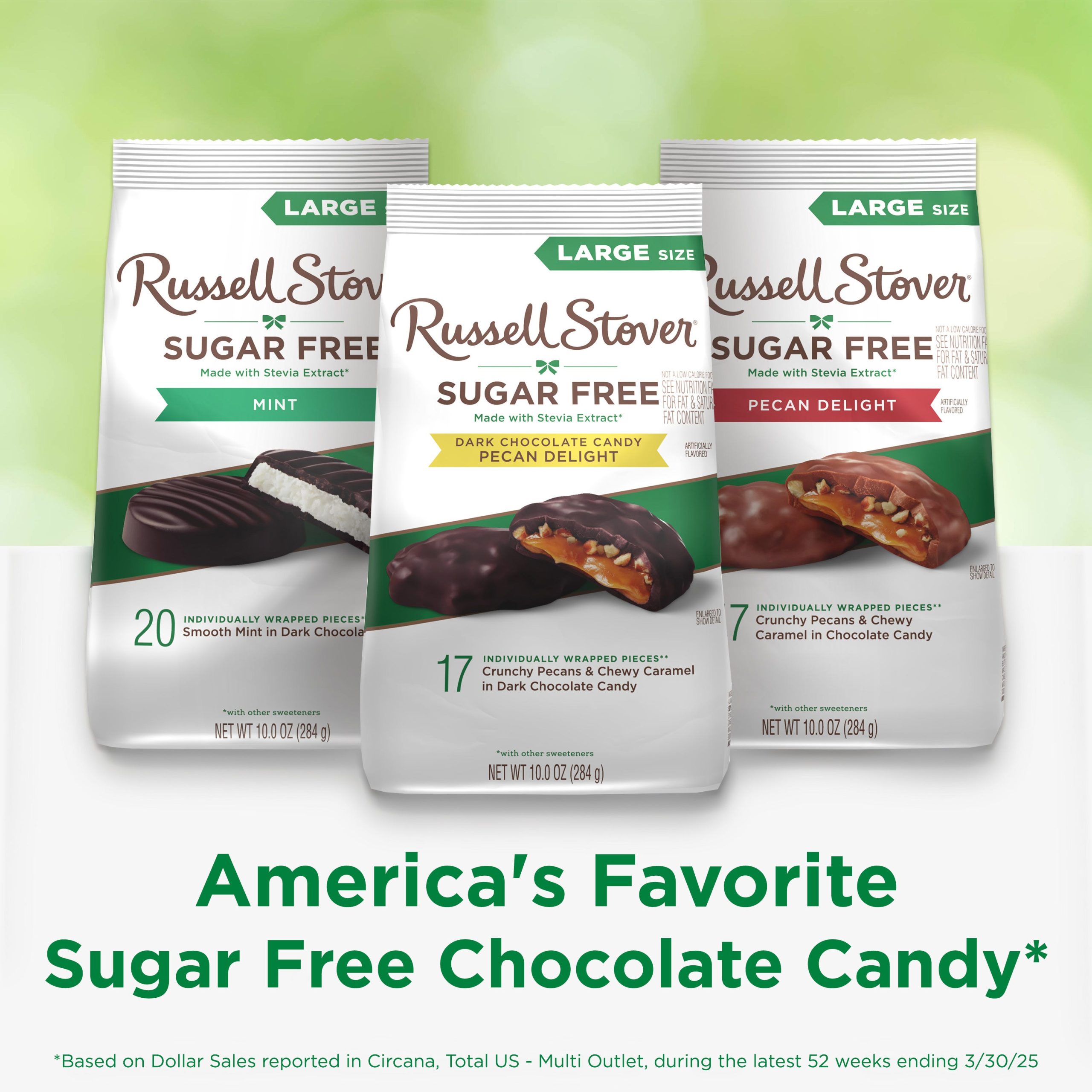 Sugar Free Dark Chocolate Pecan Delights Candy, 10 Oz. Bag - Image 7