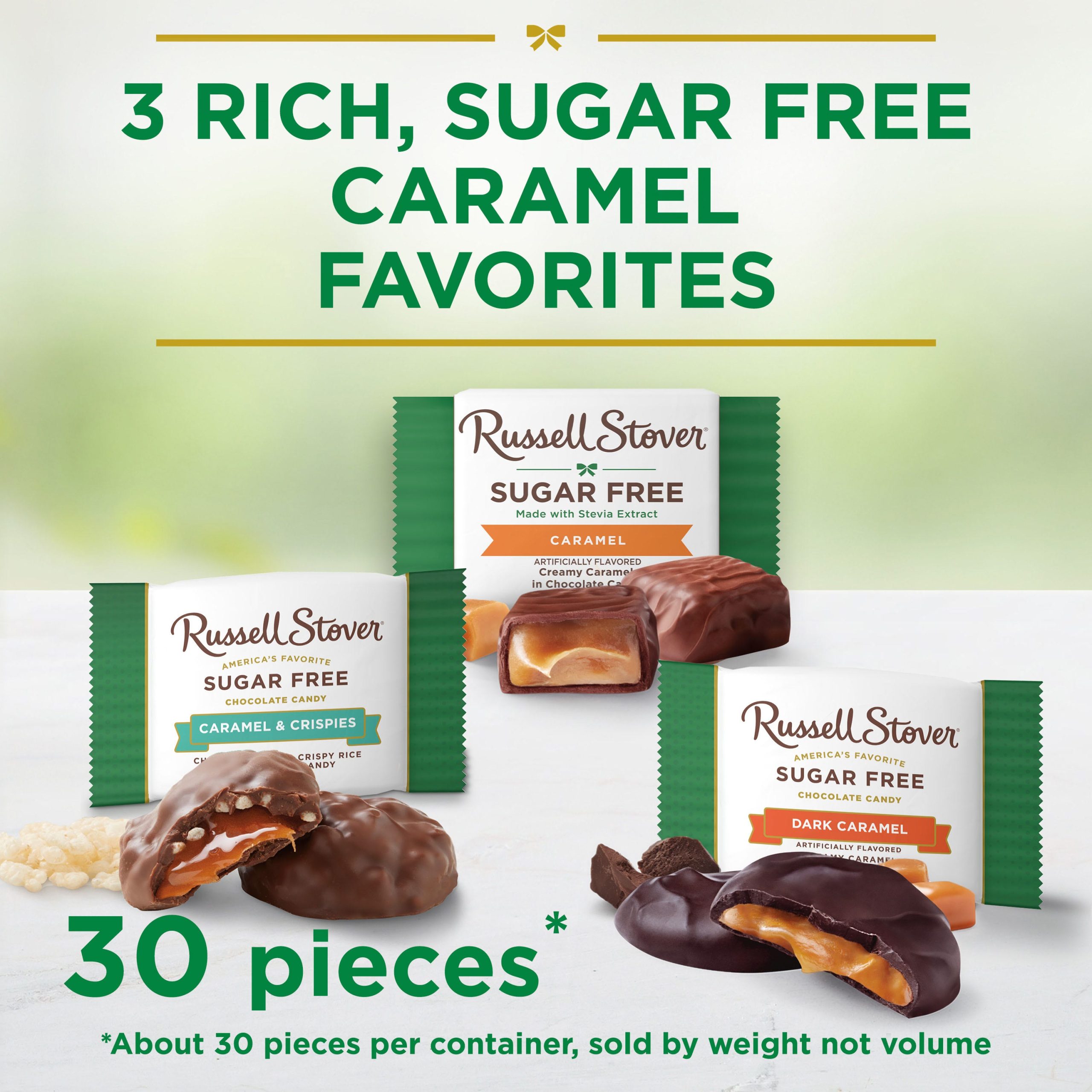 Sugar Free Assorted Caramels In Chocolate Candy, 15.3 Oz. Bag - Image 2