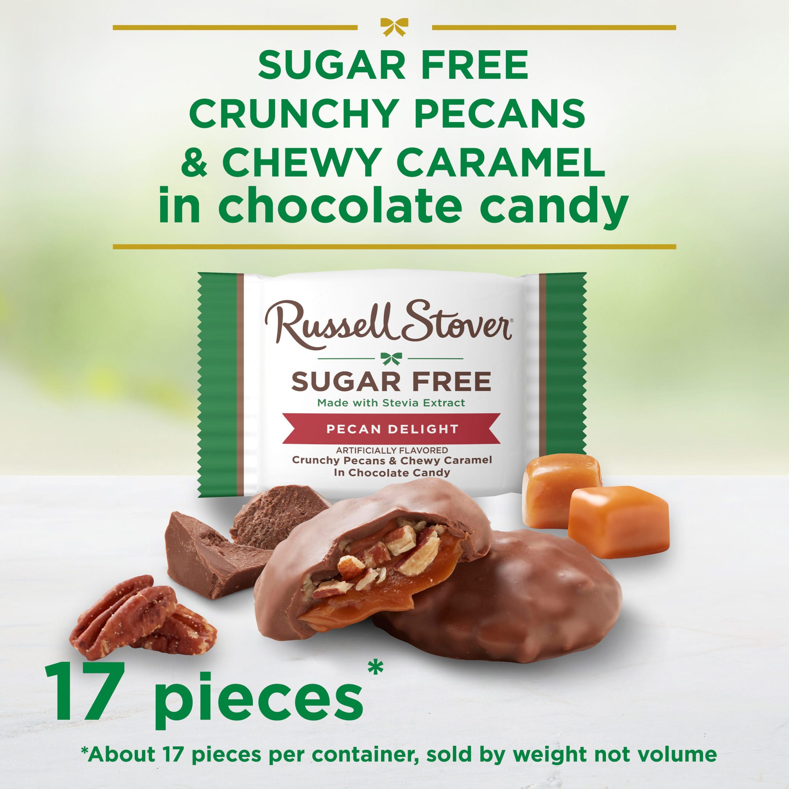 Sugar Free Pecan Delight Chocolate Candy, 10 Oz. Bag - Image 2
