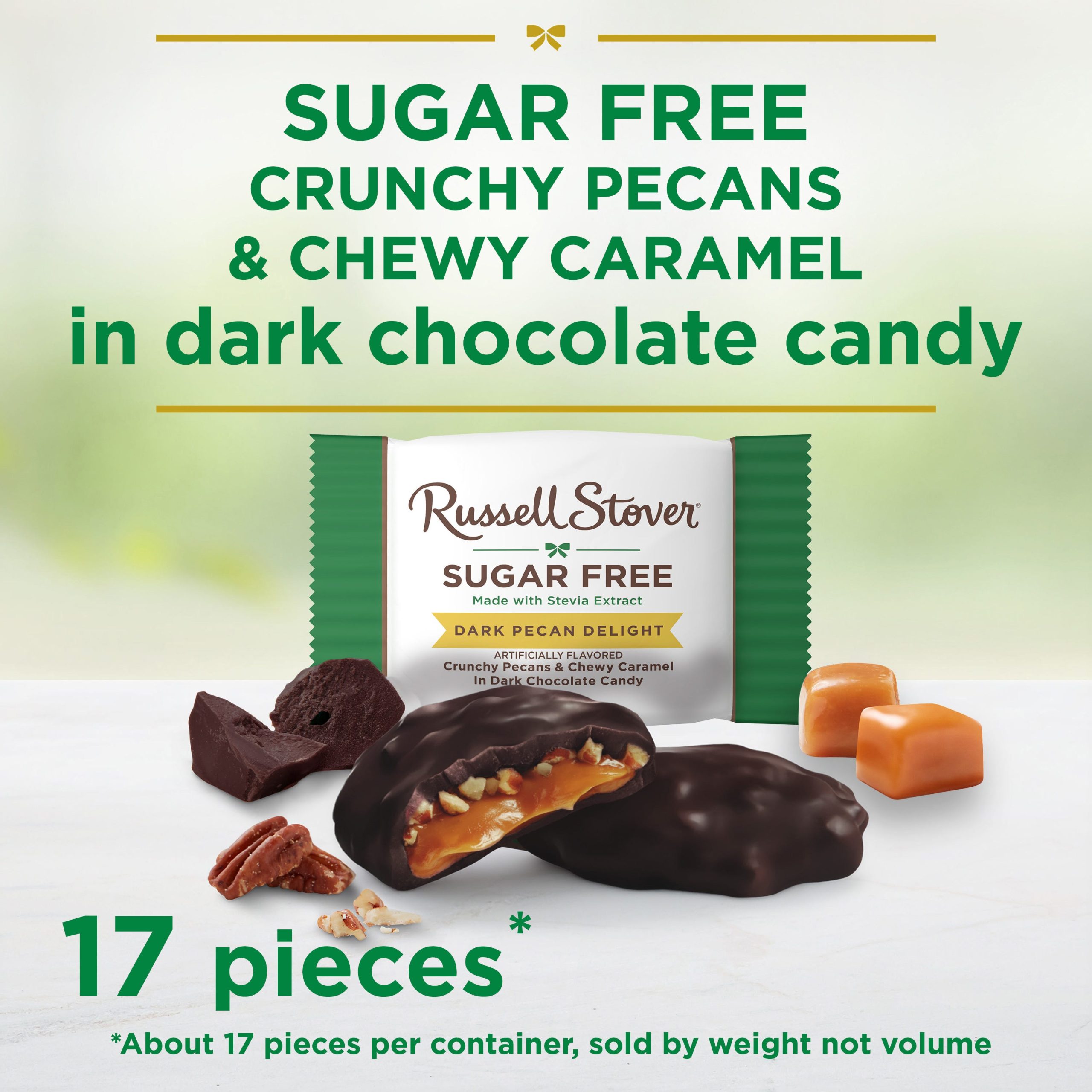 Sugar Free Dark Chocolate Pecan Delights Candy, 10 Oz. Bag - Image 2