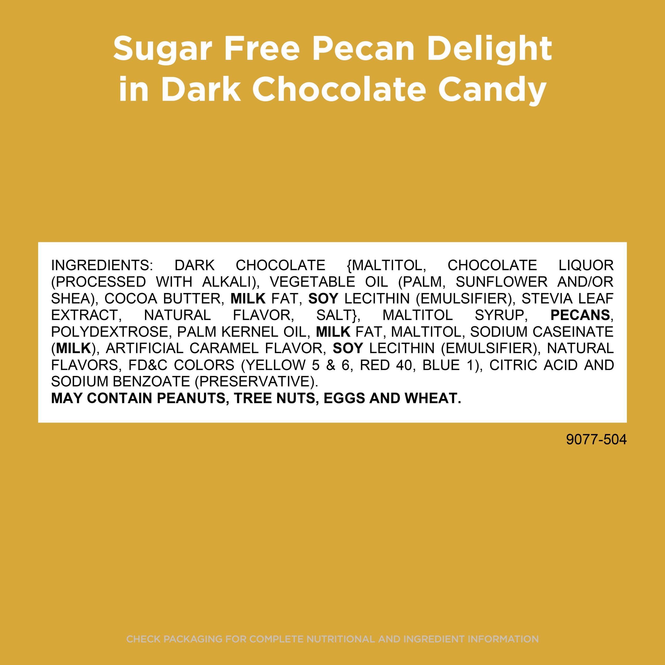 Sugar Free Dark Chocolate Pecan Delights Candy, 10 Oz. Bag - Image 5