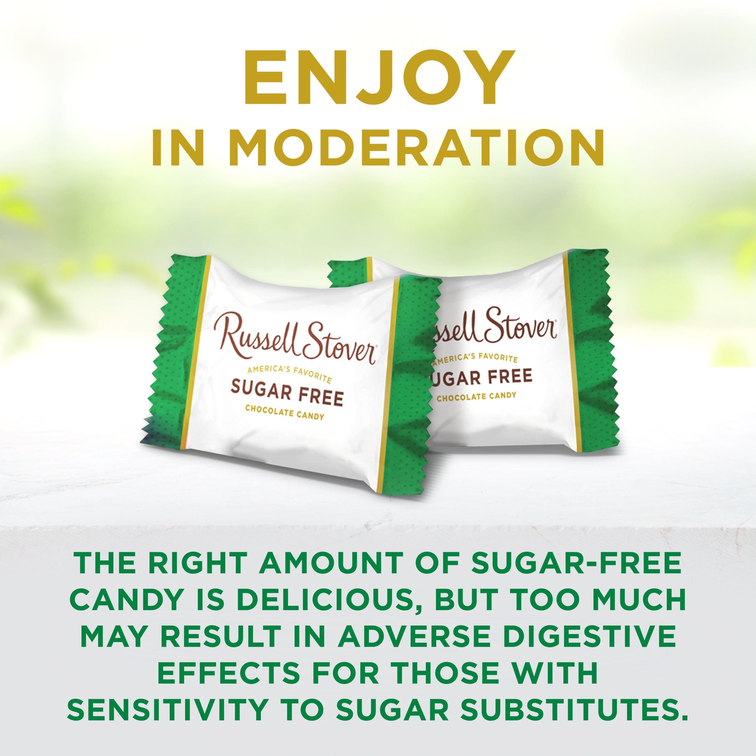 Sugar Free Pecan Delight Chocolate Candy, 4.7 Oz. Bag - Image 26