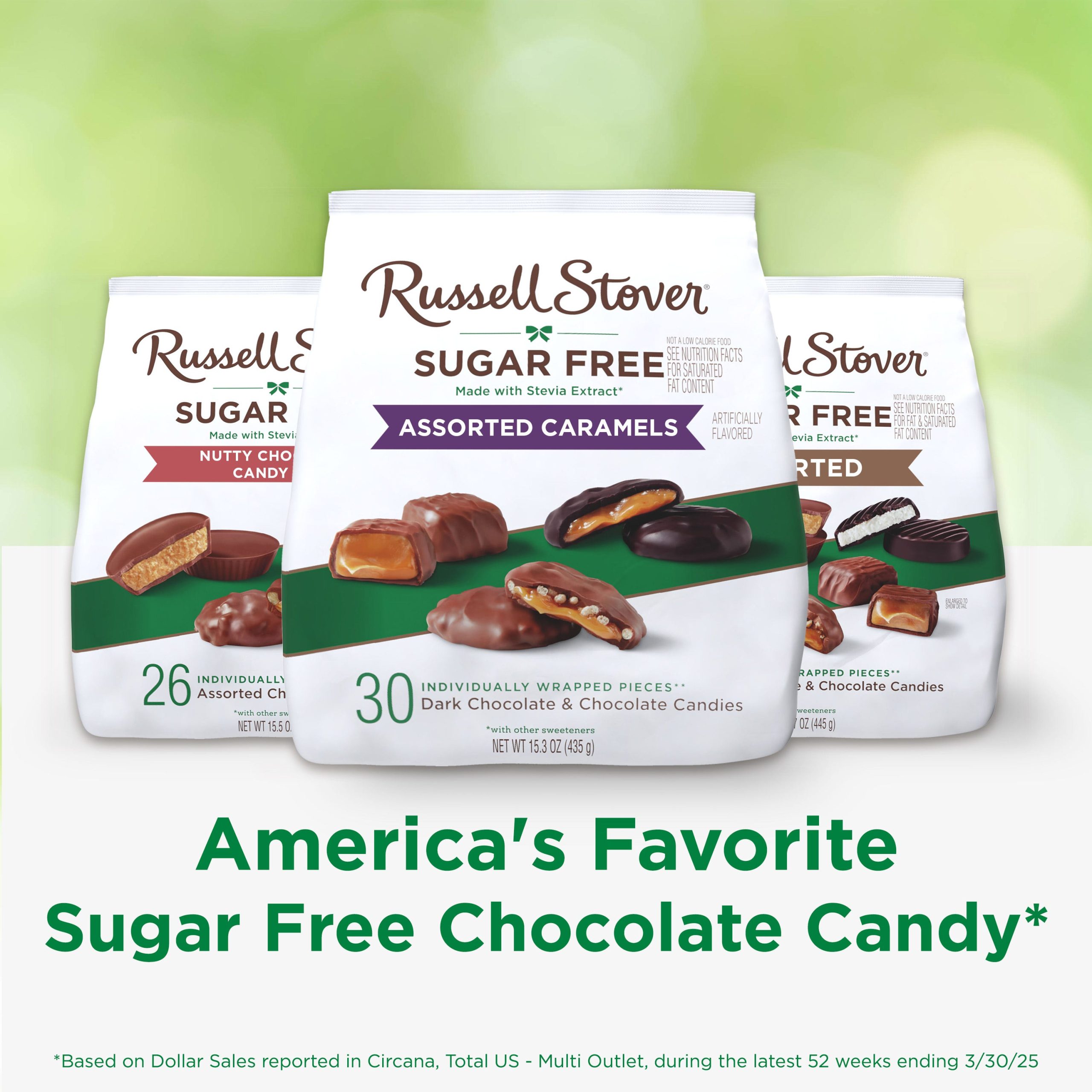 Sugar Free Assorted Caramels In Chocolate Candy, 15.3 Oz. Bag - Image 4