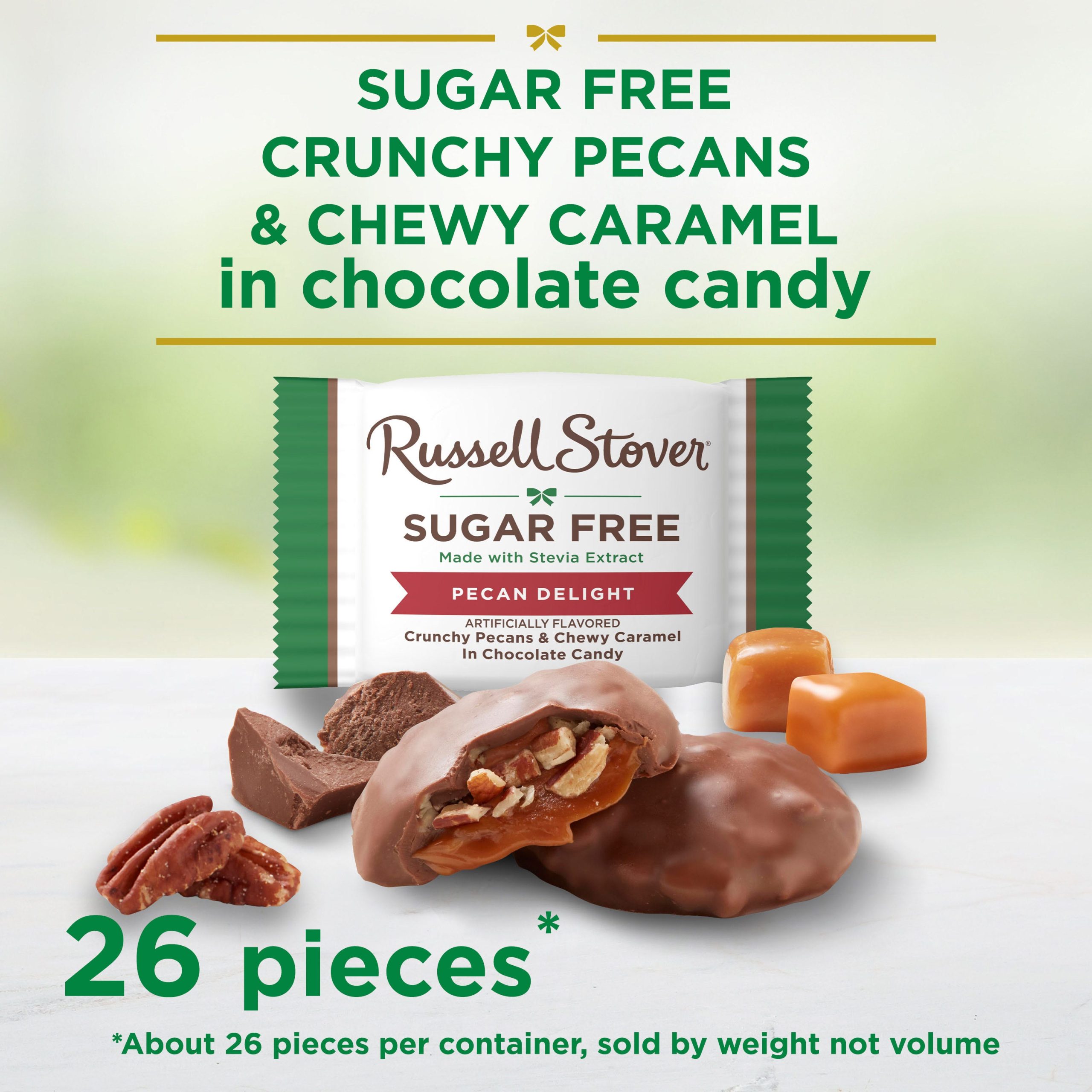 Sugar Free Assorted Caramels In Chocolate Candy, 15.3 Oz. Bag - Image 21