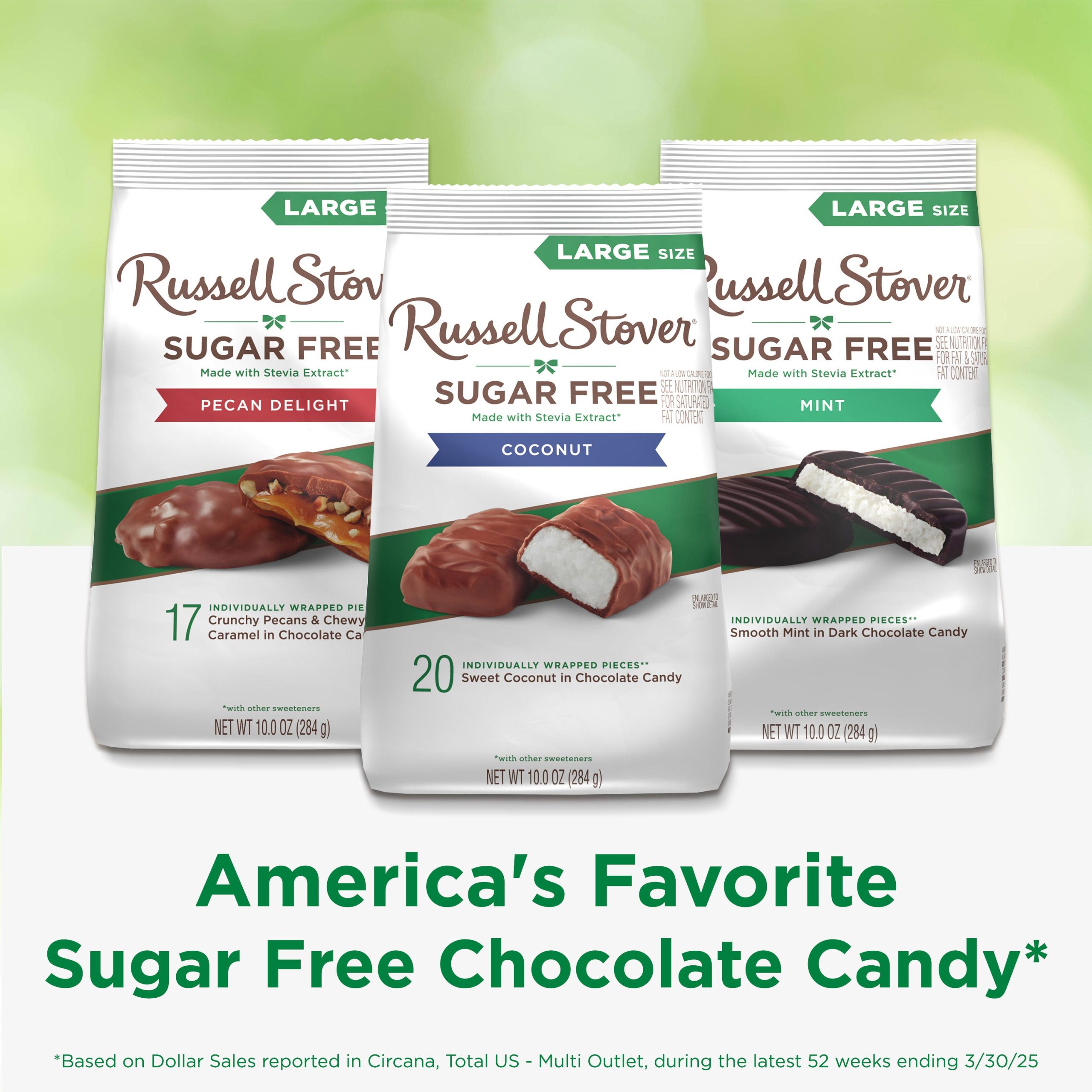 Sugar Free Coconut In Chocolate Candy, 10 Oz. Bag - Image 7