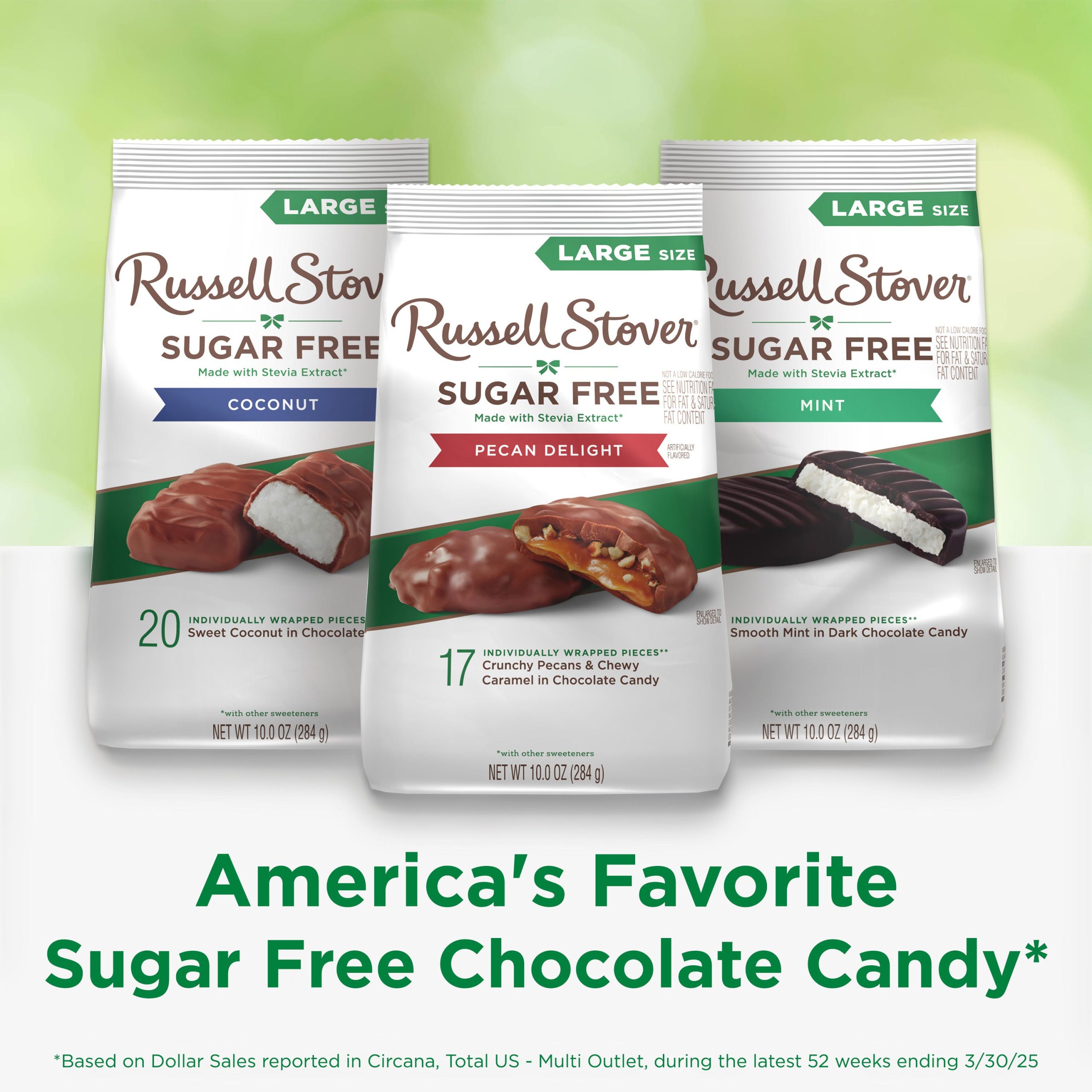 Sugar Free Pecan Delight Chocolate Candy, 10 Oz. Bag - Image 7