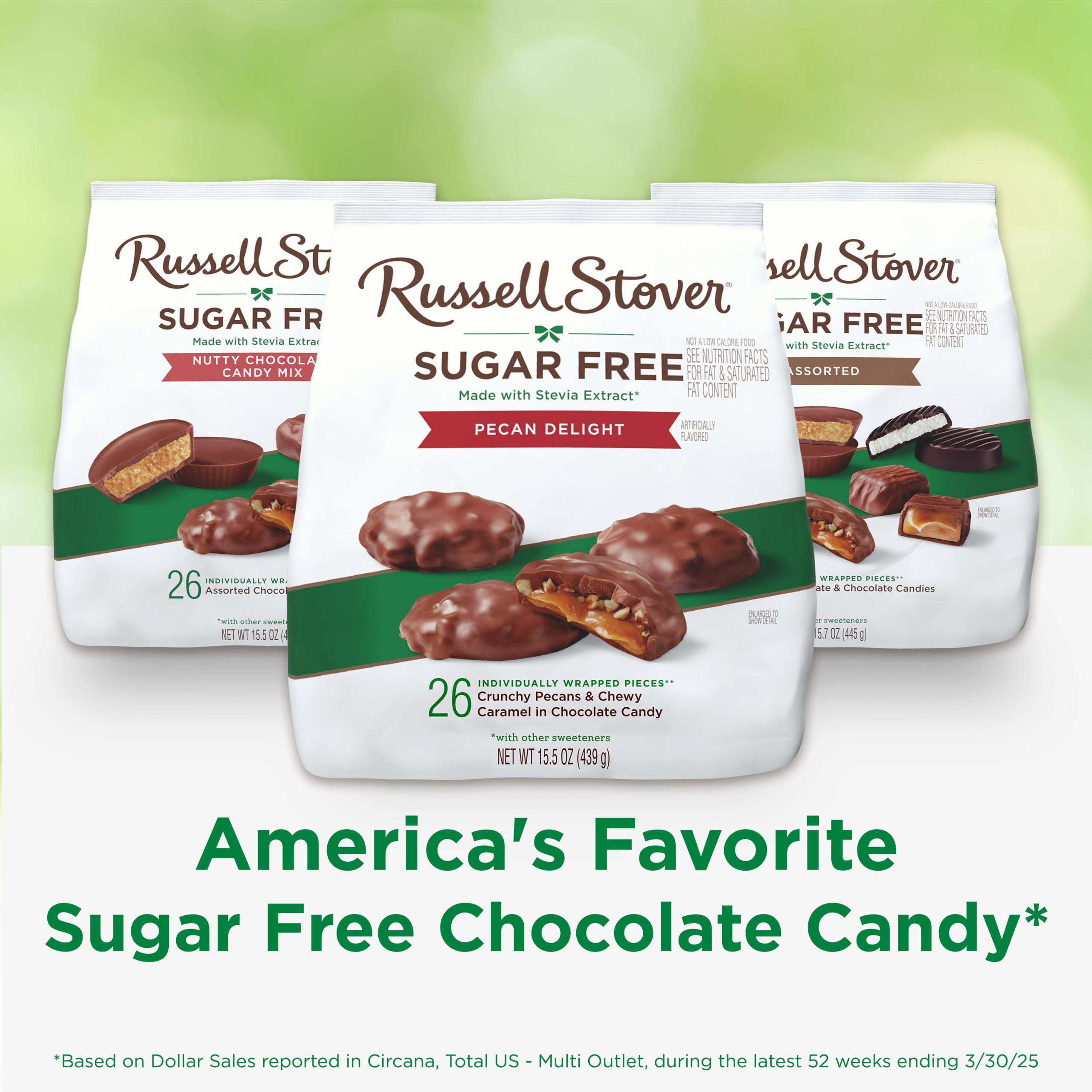 Sugar Free Assorted Caramels In Chocolate Candy, 15.3 Oz. Bag - Image 23