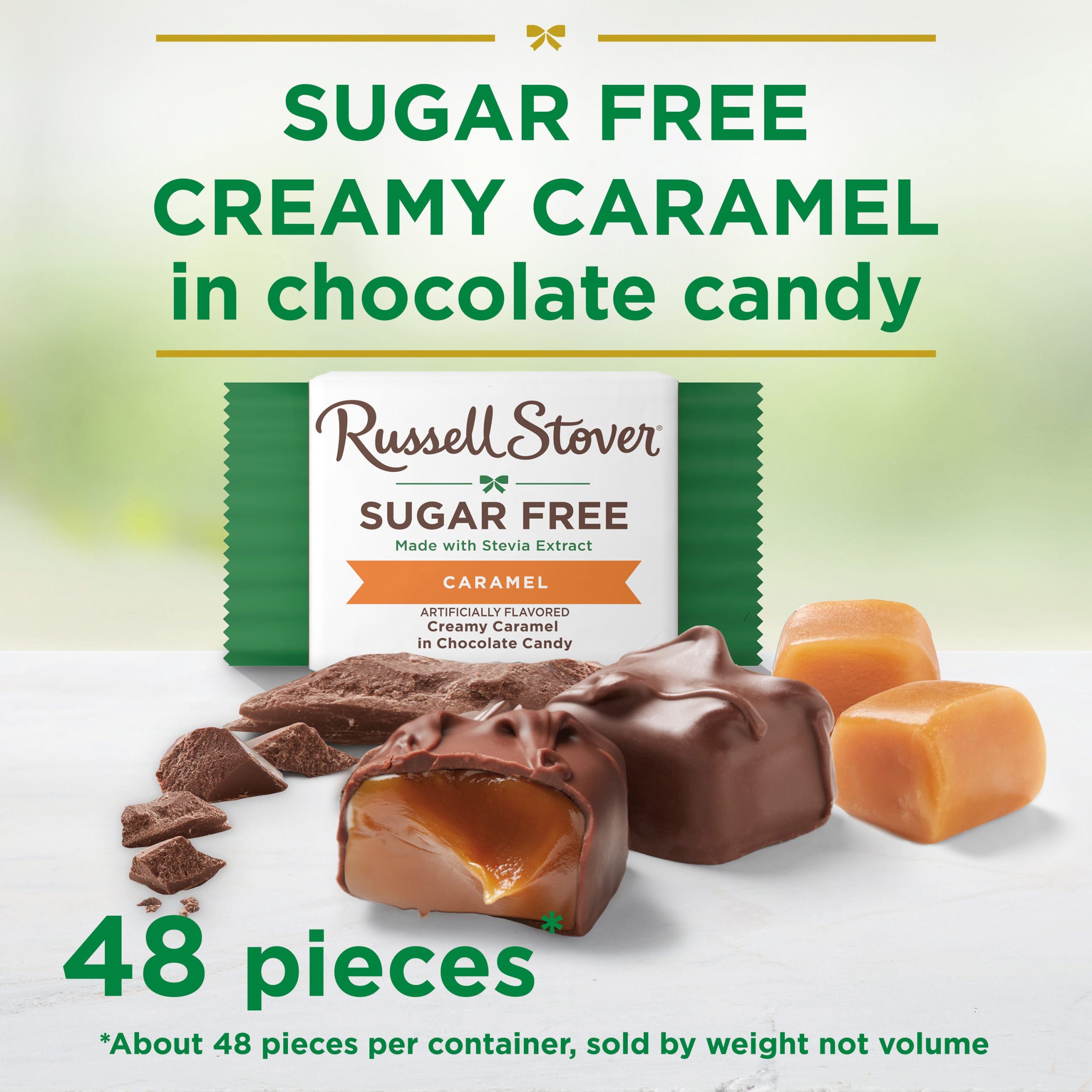 Sugar Free Solid Dark Chocolate Candy Gift Bag, 24 Oz. - Image 19