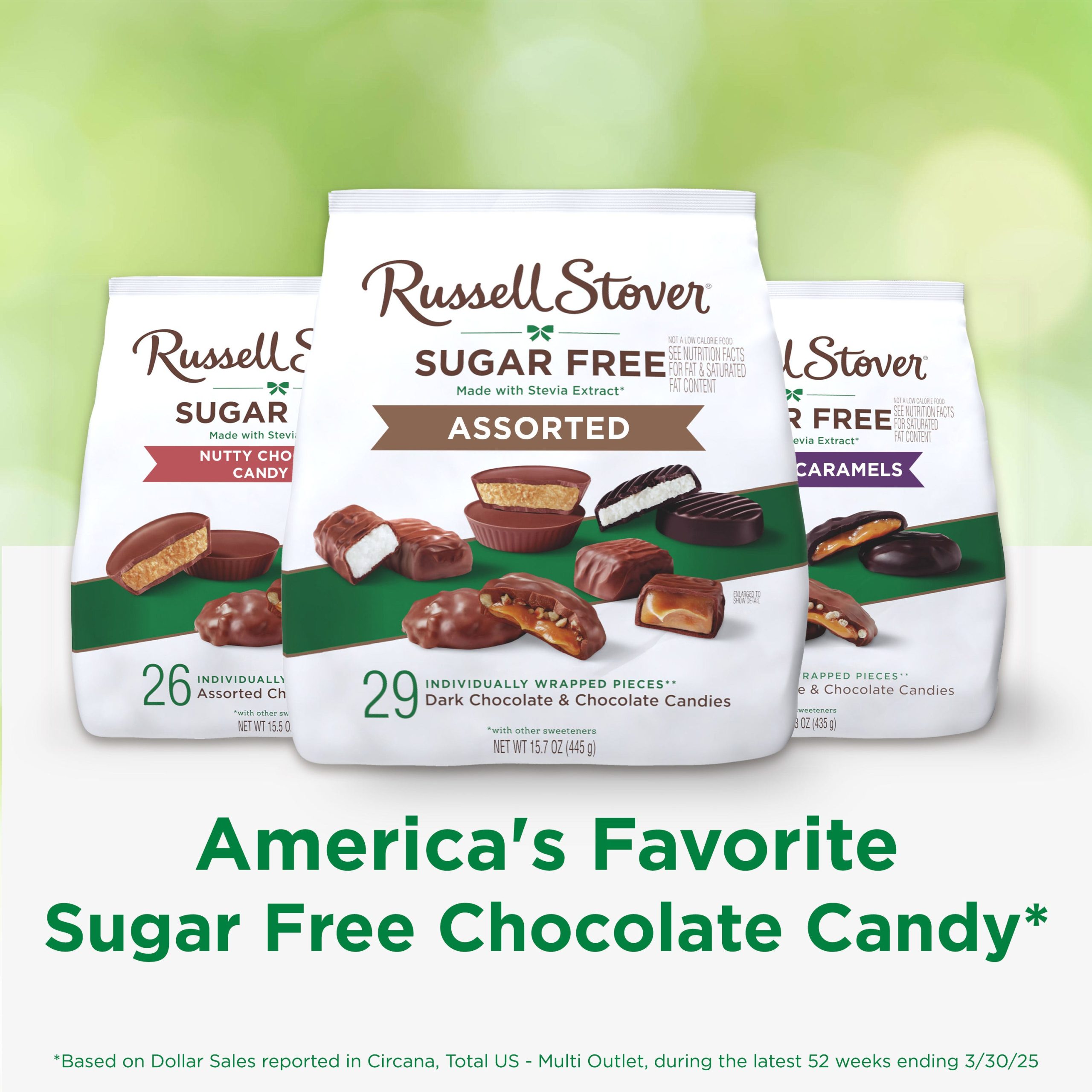 Sugar Free Assorted Caramels In Chocolate Candy, 15.3 Oz. Bag - Image 14