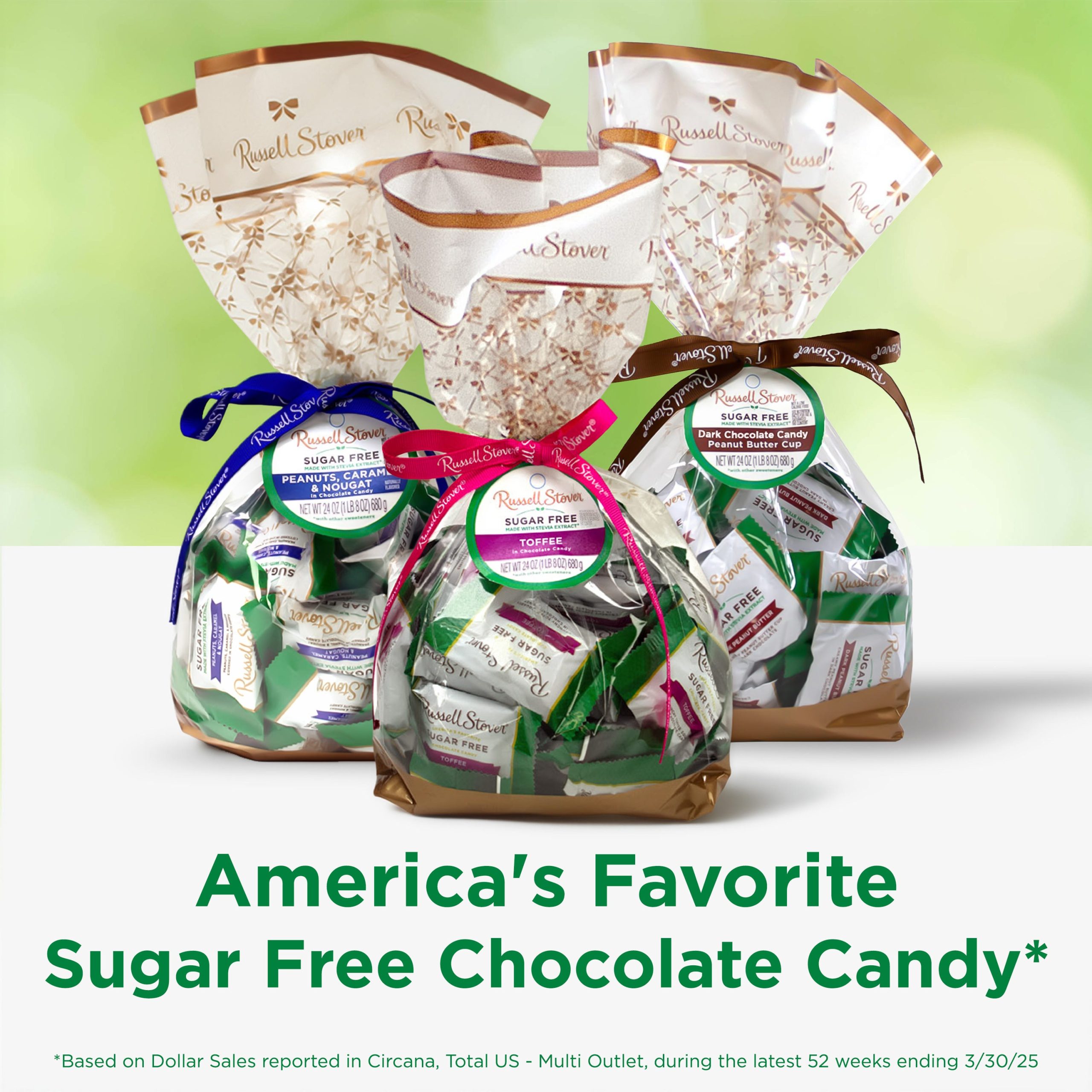 Sugar Free Solid Dark Chocolate Candy Gift Bag, 24 Oz. - Image 29